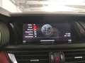 Alfa Romeo Stelvio - Stelvio 2.2 Turbodiesel 180 CV AT8 Q4 Executive Rot - thumbnail 26