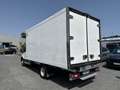 Ford Transit FT 350 L4 Chasis Heavy DutTrend Aut. Tr. Tra. 170 Bianco - thumbnail 4