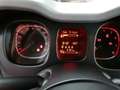 Fiat Panda PANDA 1.0 Hybrid 70 Vert - thumbnail 3