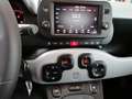 Fiat Panda PANDA 1.0 Hybrid 70 Vert - thumbnail 2
