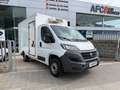 Fiat Ducato C.Cabina Maxi 35 L4 2.3 1FA (103 kW) Blanco - thumbnail 3