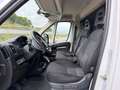 Fiat Ducato C.Cabina Maxi 35 L4 2.3 1FA (103 kW) Blanco - thumbnail 7