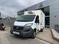Fiat Ducato C.Cabina Maxi 35 L4 2.3 1FA (103 kW) Blanco - thumbnail 1