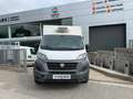 Fiat Ducato C.Cabina Maxi 35 L4 2.3 1FA (103 kW) Blanco - thumbnail 2