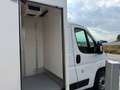 Fiat Ducato C.Cabina Maxi 35 L4 2.3 1FA (103 kW) Blanco - thumbnail 16