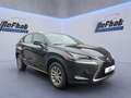 Lexus NX 300 h Amazing Edition*LED*SHZ*PDC* Schwarz - thumbnail 6