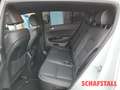 Kia Sportage GT Line 1.6 T-GDI Navi Tempomat Kamera Leder Bianco - thumbnail 15