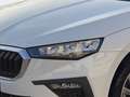 Skoda Scala Selection Facelift Weiß - thumbnail 7