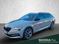 Skoda Superb Combi 2.0 TSI 4x4 DSG  Sportline Grau - thumbnail 1