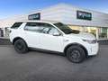 Land Rover Discovery Sport 2.0D TD4 MHEV Standard AWD Auto 163 - thumbnail 4