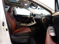 Lexus NX 300h AWD HYBRID Aut. *ABSOLUT VOLL *199PS SYSTEM Weiß - thumbnail 16