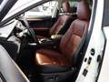 Lexus NX 300h AWD HYBRID Aut. *ABSOLUT VOLL *199PS SYSTEM Weiß - thumbnail 19