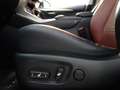 Lexus NX 300h AWD HYBRID Aut. *ABSOLUT VOLL *199PS SYSTEM Weiß - thumbnail 23