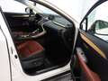 Lexus NX 300h AWD HYBRID Aut. *ABSOLUT VOLL *199PS SYSTEM Weiß - thumbnail 15