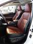Lexus NX 300h AWD HYBRID Aut. *ABSOLUT VOLL *199PS SYSTEM Weiß - thumbnail 18