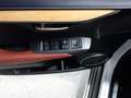 Lexus NX 300h AWD HYBRID Aut. *ABSOLUT VOLL *199PS SYSTEM Weiß - thumbnail 21