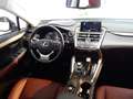 Lexus NX 300h AWD HYBRID Aut. *ABSOLUT VOLL *199PS SYSTEM Weiß - thumbnail 13