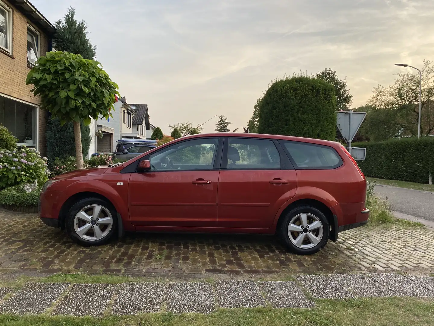 Ford Focus metalic - 1
