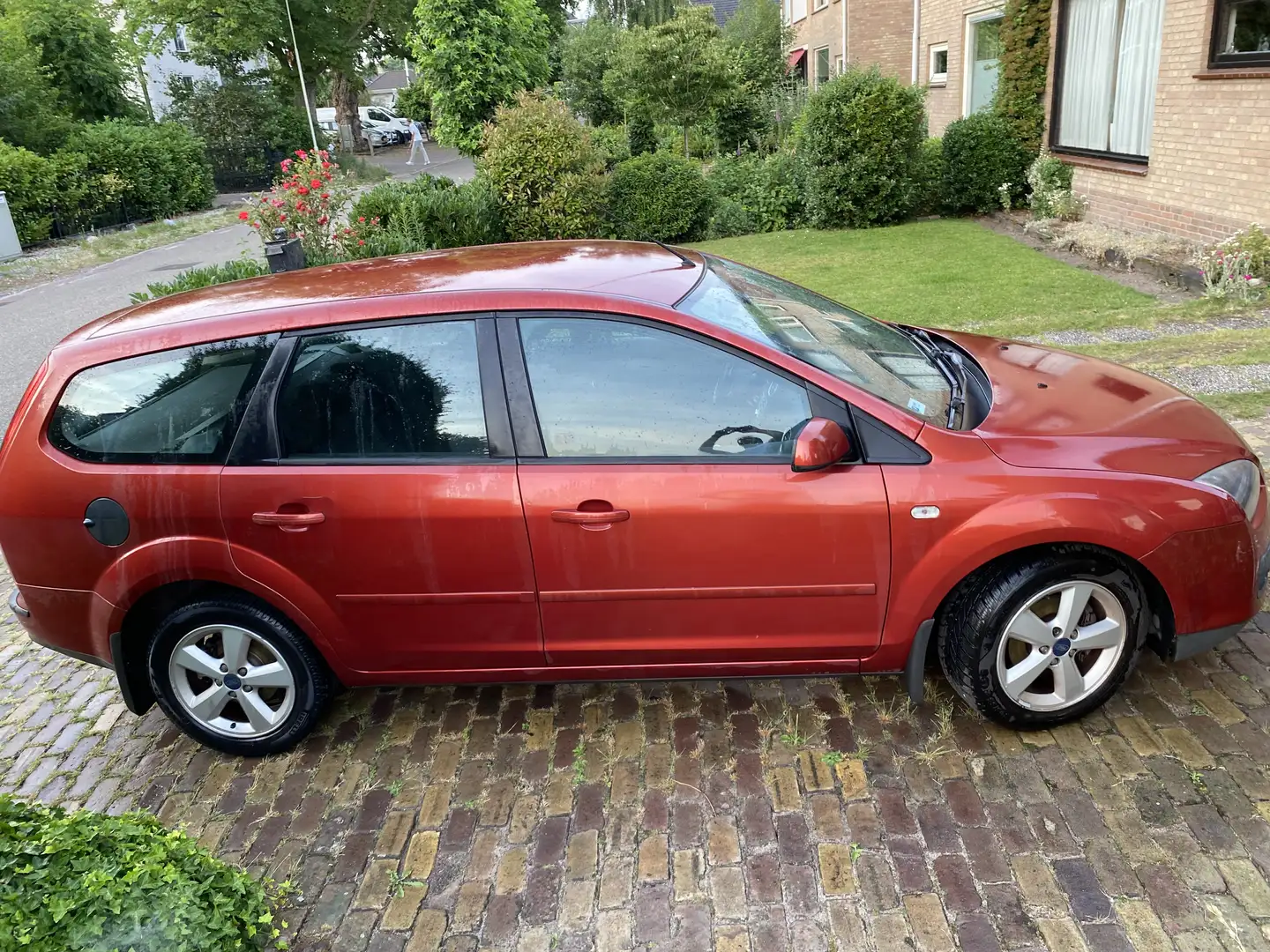 Ford Focus metalic - 2