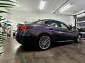 Alfa Romeo Giulia Super 2,0 200 AT RWD Grau - thumbnail 20