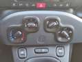 Fiat Panda Panda III 1.0 firefly hybrid s Grijs - thumbnail 10