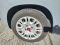 Fiat Panda Panda III 1.0 firefly hybrid s Grijs - thumbnail 13