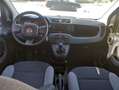 Fiat Panda Panda III 1.0 firefly hybrid s Grijs - thumbnail 2