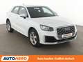Audi Q2 1.6 TDI Sport Aut.*NAV*ACC*VC*PDC*SHZ*CARPLAY Weiß - thumbnail 8