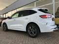 Ford Kuga ST-Line X 2.5 Full Hybrid 165pk WinterPack - trekh Wit - thumbnail 6