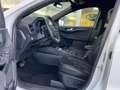 Ford Kuga ST-Line X 2.5 Full Hybrid 165pk WinterPack - trekh Wit - thumbnail 3