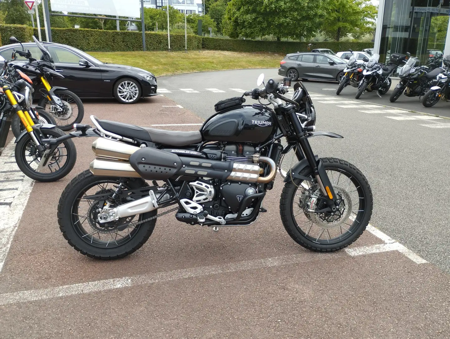 Triumph Scrambler Noir - 1