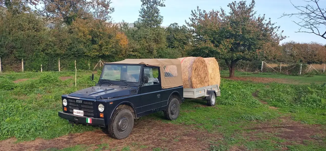 Fiat Campagnola 2.0 torpedo, foto 2