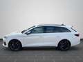 CUPRA Leon Sportstourer 2.0 TSI DSG Navi SHZ FAP L ele Weiß - thumbnail 7