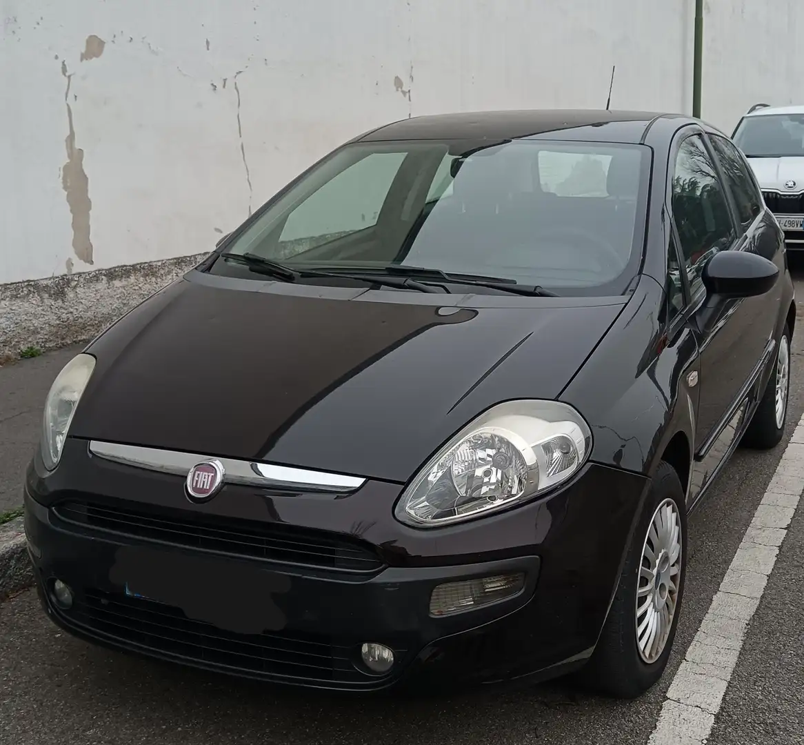 Fiat Punto Evo 1.4 Blu&Me GPL - 1