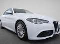 Alfa Romeo Giulia Super + Sprint Packet 2,2 16V 190 AT8 Super Weiß - thumbnail 3