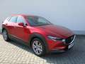 Mazda CX-30 2.0l Selection AHK Design-/ iActiv-Paket Rot - thumbnail 3