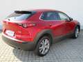 Mazda CX-30 2.0l Selection AHK Design-/ iActiv-Paket Rot - thumbnail 4