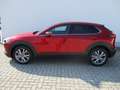 Mazda CX-30 2.0l Selection AHK Design-/ iActiv-Paket Rot - thumbnail 6