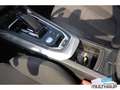 Peugeot 308 Allure Pack BlueHDi 130 EAT8 - SITZHEIZUNG Weiß - thumbnail 7