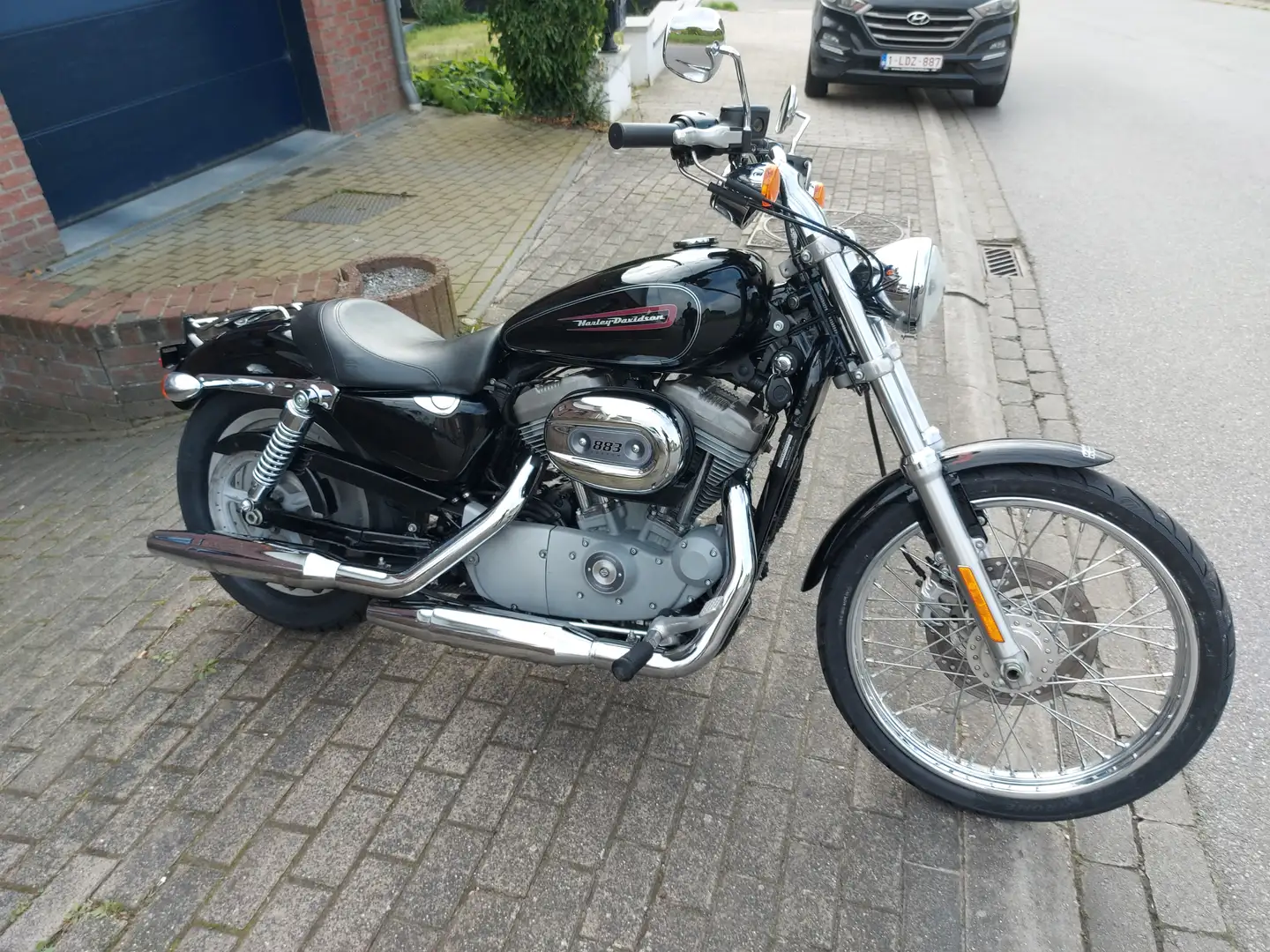 Harley-Davidson Sportster XL883C Noir - 1