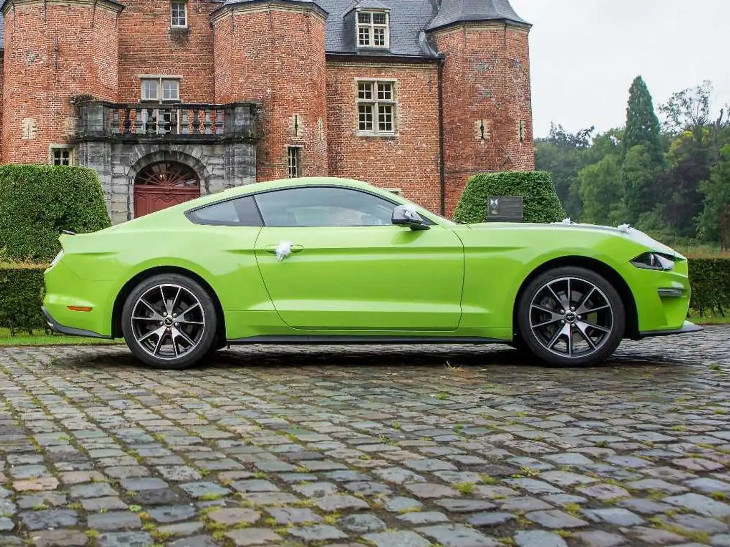Ford Mustang Mustang Fastback 2.3 Eco Boost Vert - 2