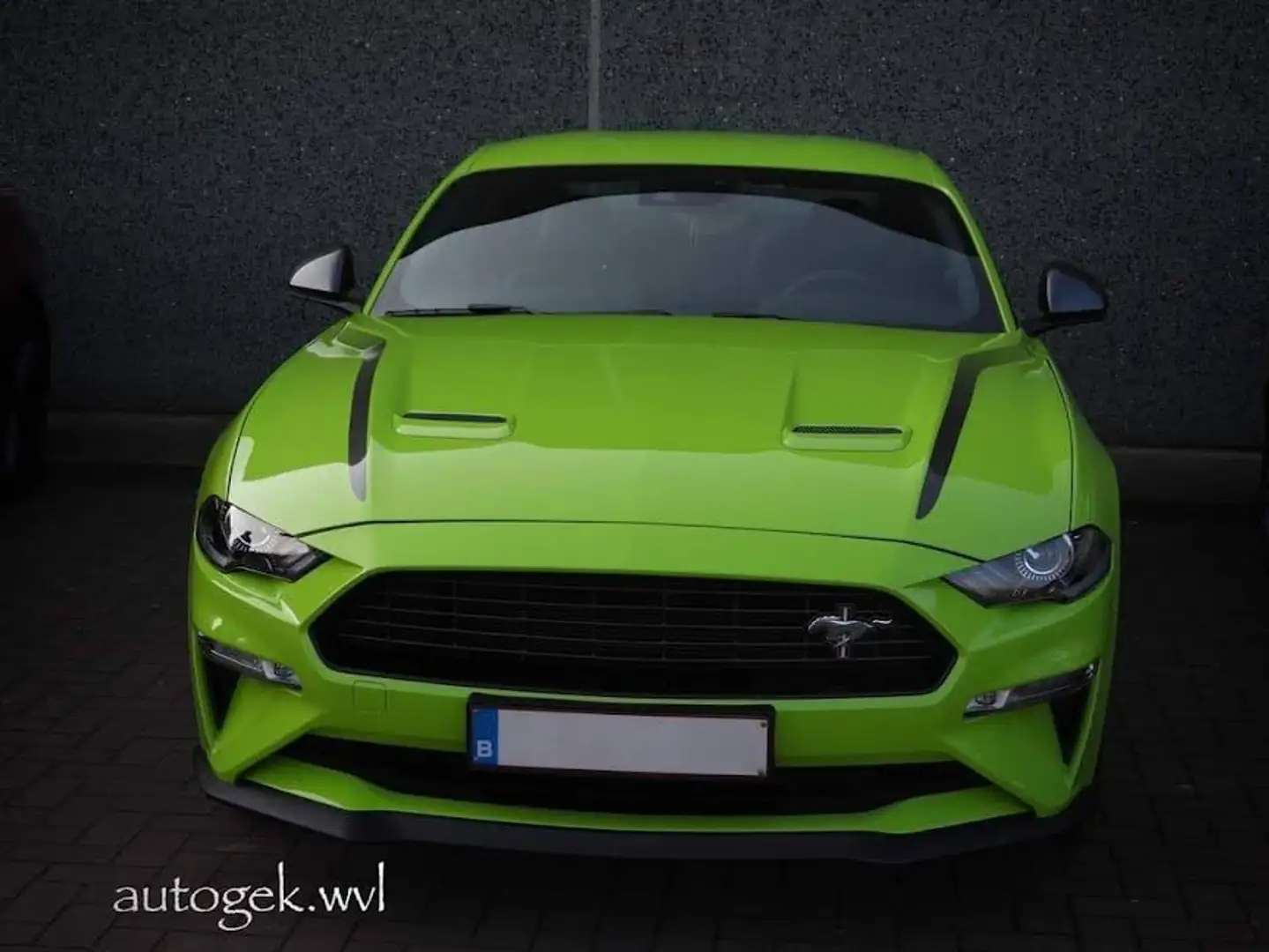 Ford Mustang Mustang Fastback 2.3 Eco Boost Vert - 1