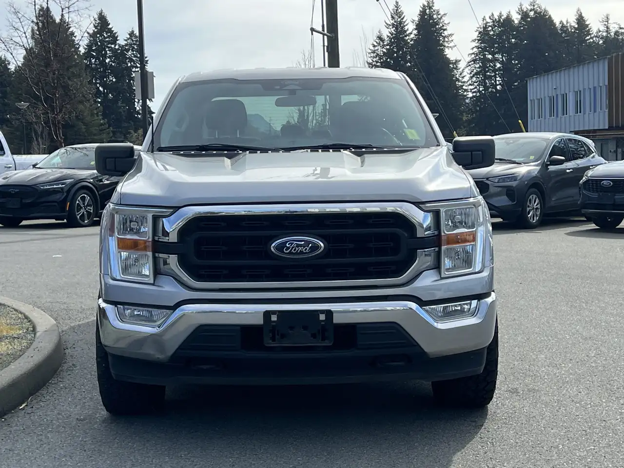 Ford F 150 снимка Ford F 150