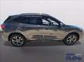 Ford Kuga 2.5 Plug In Hybrid 225 CV CVT 2WD ST-Line X Gris - thumbnail 4