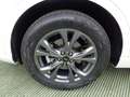 Ford Kuga 2.5 Full Hybrid 190 CV CVT AWD ST-Line X Bianco - thumbnail 6