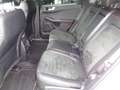 Ford Kuga 2.5 Full Hybrid 190 CV CVT AWD ST-Line X Bianco - thumbnail 10