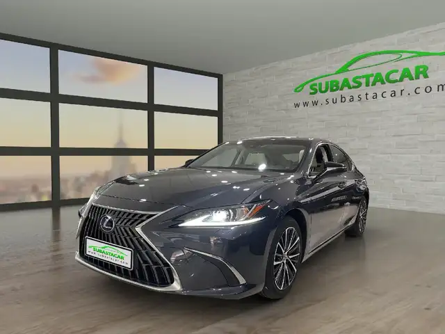 Lexus ES 300 300h Premium