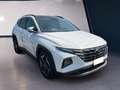Hyundai TUCSON III 2021 1.6 hev Exellence Lounge Pack 2wd auto Bianco - thumbnail 3
