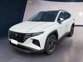 Hyundai TUCSON III 2021 1.6 hev Exellence Lounge Pack 2wd auto Bianco - thumbnail 2