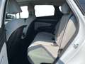 Hyundai TUCSON III 2021 1.6 hev Exellence Lounge Pack 2wd auto Bianco - thumbnail 8